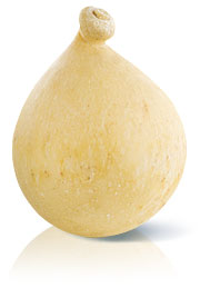 Il Caciocavallo di Montella