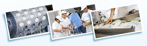 Enterprise Caseificio Gambone